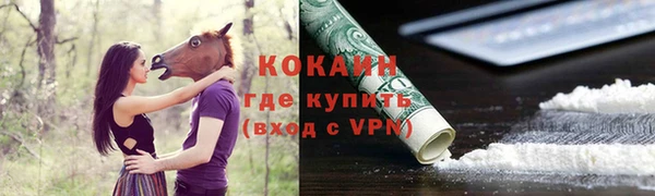 мет Няндома