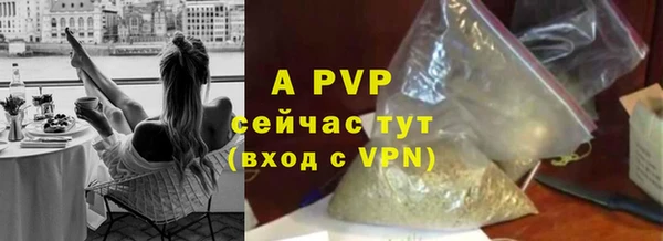 PSILOCYBIN Дмитров