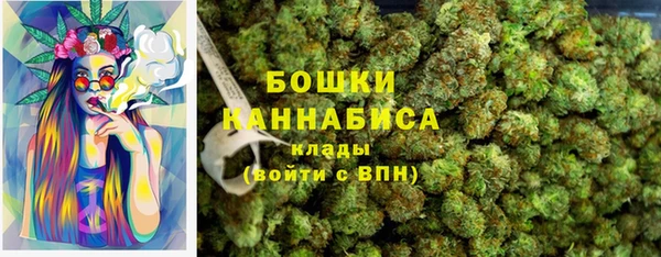 шишки Усмань