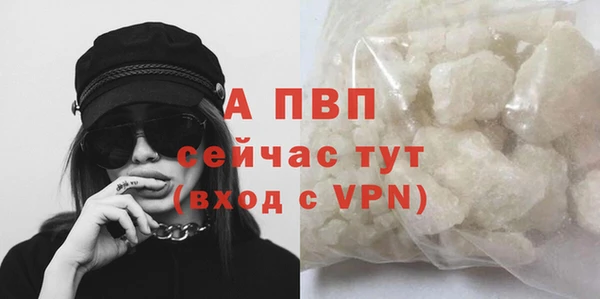 ПСИЛОЦИБИНОВЫЕ ГРИБЫ Нягань