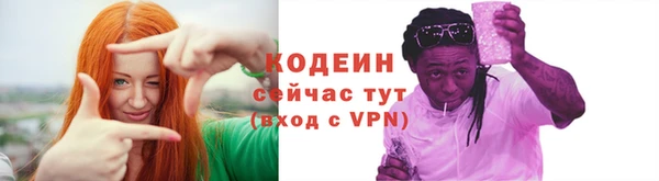 гидра Галич