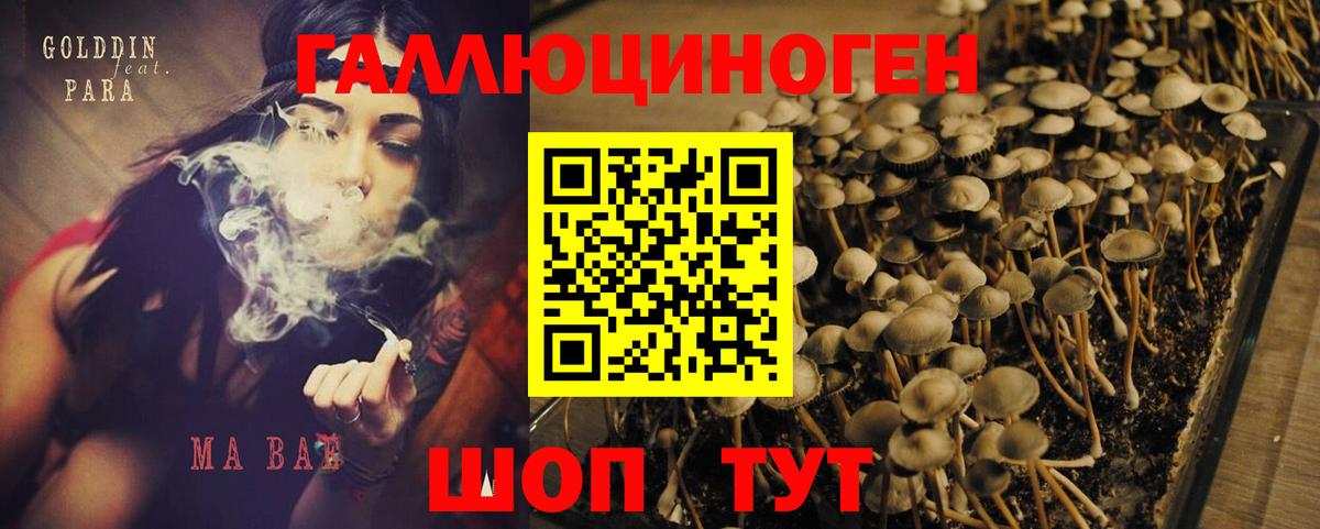 Псилоцибиновые грибы MAGIC MUSHROOMS Полевской