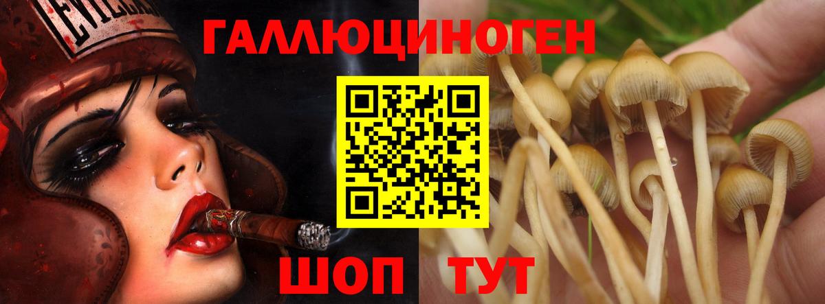 Полевской  Галлюциногенные грибы ЛСД  Вход с VPN 